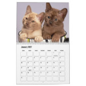 Birmese kalender (Jan 2027)