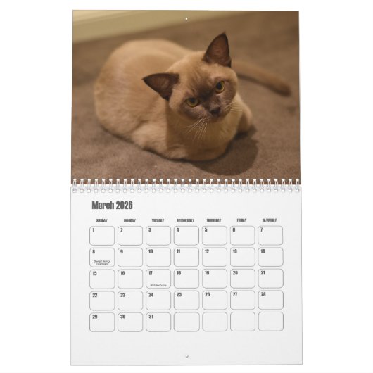 Birmese kalender (Mar 2026)