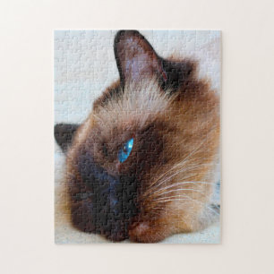 Birmese kat. legpuzzel
