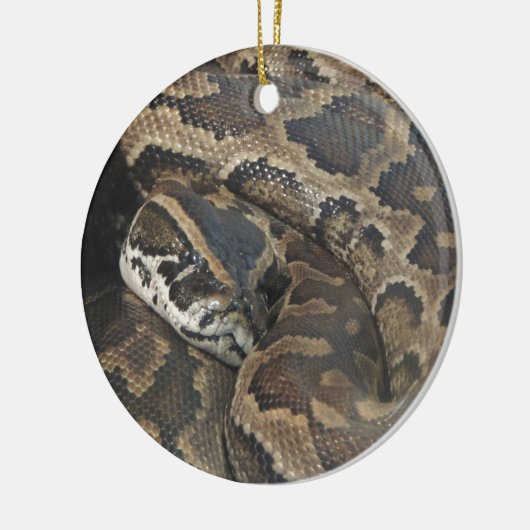 Birmese Python Keramisch Ornament (Links)