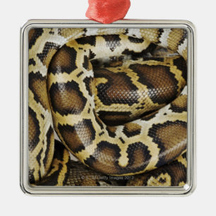 Birmese python metalen ornament