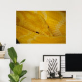 Birmese Python Poster (Thuiskantoor)