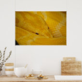Birmese Python Poster (Keuken)