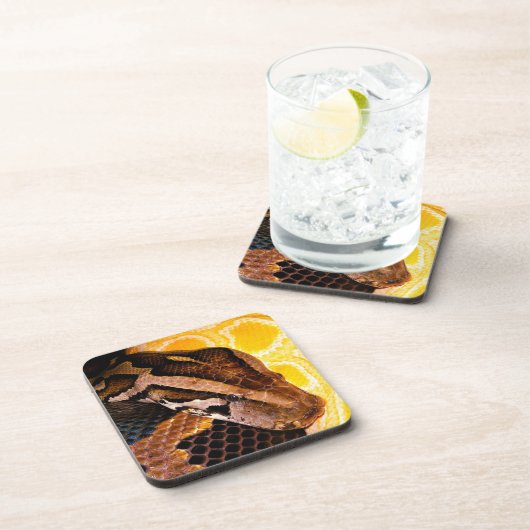 Birmese Python Snake Bier Onderzetter (Rechterzijde)