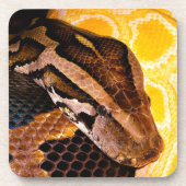 Birmese Python Snake Bier Onderzetter (Voorkant)