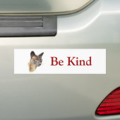 Birmese, wees Bumpersticker (Op auto)