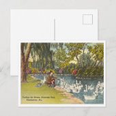 Birmingham Alabama Avondale Park Briefkaart (Voorkant / Achterkant)