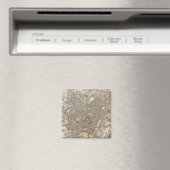 Birmingham Magneet (Insitu (Vaatwasser))