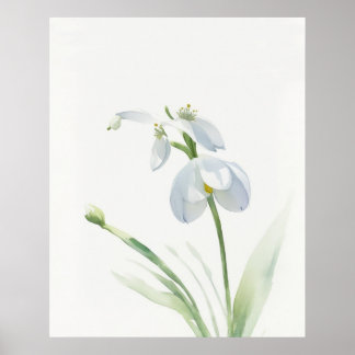 Birth Flower January Snowdrop Poster