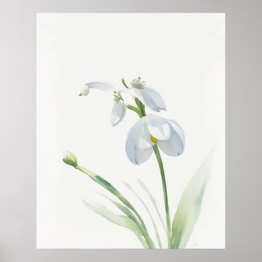 Birth Flower January Snowdrop Poster (Voorkant)