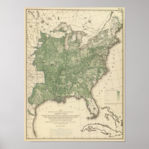 Birth Rate US, Statistical US Lithografie Poster