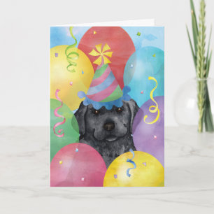 Birthday Balloons Black Lab Kaart
