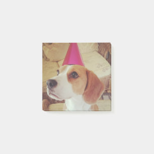 Birthday Beagle schrijft het Post-it® Notes