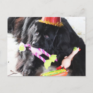 Birthday Beer Briefkaart