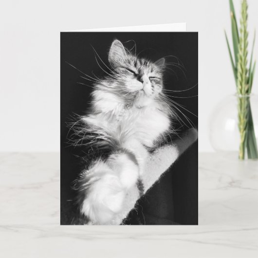 Birthday Bliss Kaart (Voorkant)