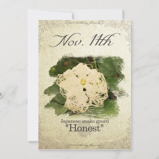 Birthday bloemen op nov.11th"Japanse slangengourd" Kaart (Voorkant)