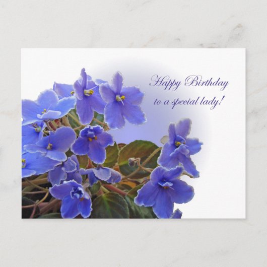 Birthday Blue African Violets Briefkaart (Voorkant)