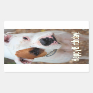 Birthday Boop Rechthoekige Sticker