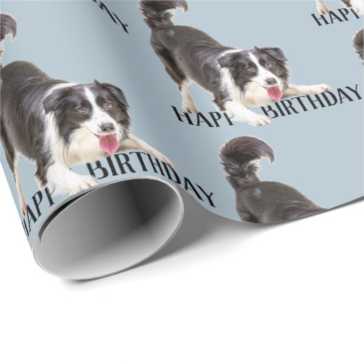 Birthday Border Collie op Blue Cadeaupapier (Rol Hoek)