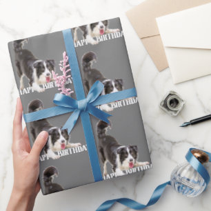 Birthday Border Collie op Grey Cadeaupapier