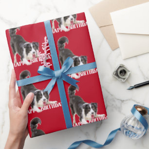 Birthday Border Collie op Red Cadeaupapier