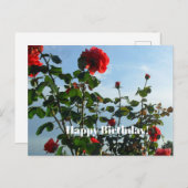 Birthday Briefkaart (Voorkant / Achterkant)