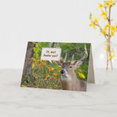 Birthday Buck in Bossen Kaart (Gele Bloem)