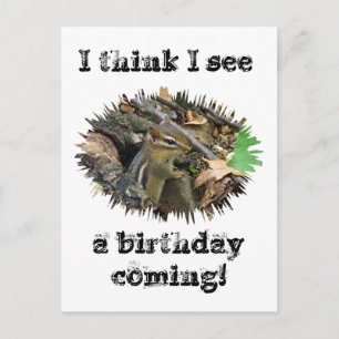 Birthday Card Eastern Chipmunk Briefkaart