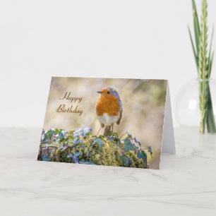 Birthday card european robin Erithacus rubecula Kaart