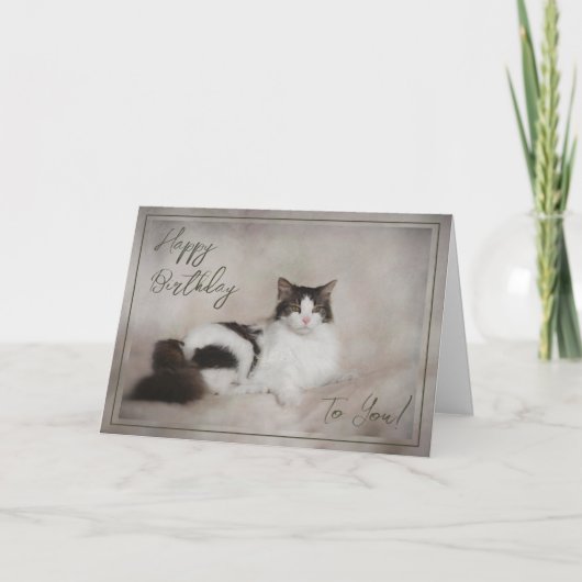 Birthday Card "Happy Birthday Cat" Feestdagen Kaart (Voorkant)