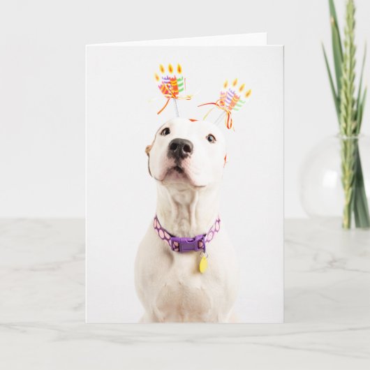 Birthday Card Kaart (Voorkant)