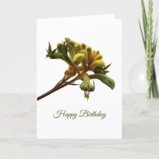 Birthday Card - Kangaroo Paw Kaart
