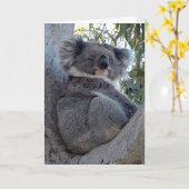 Birthday Card Koala in een gomboom Kaart (Gele Bloem)
