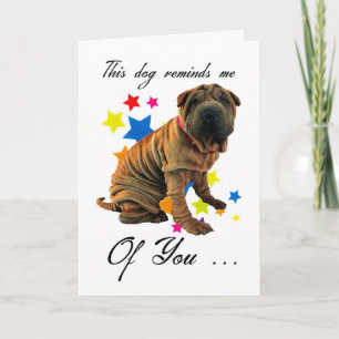 birthday card met cute shar pei - humorous card kaart