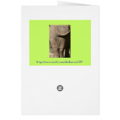 Birthday Card met Elephant Wrinkles (Achterkant)