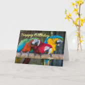 Birthday card three Macaw parrots Kaart (Gele Bloem)