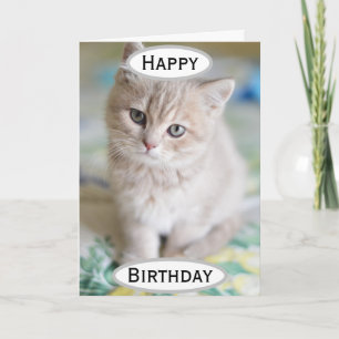 Birthday Cat Dad World's Best Ever Pet Photo Kaart
