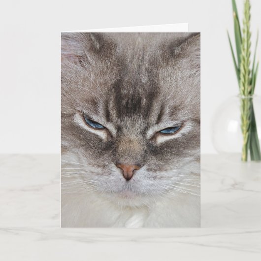 Birthday Cat Kaart (Voorkant)