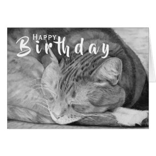 Birthday Cat Kaart Pet Lover Wenskaart