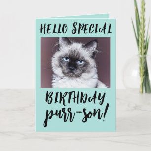 BIRTHDAY CAT SIAMESE PERSIAN WENSKAART KAART
