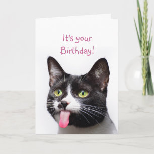Birthday Cat Sticking out Tongue Funny Humor Kaart