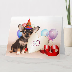 Birthday Chihuahua dog Kaart