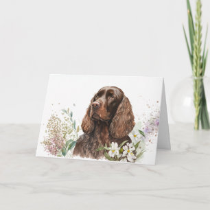 Birthday Chocolate Cocker Spaniel Kaart