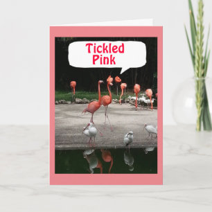 BIRTHDAY COMPLIMENT FLAMINGOS ZIJN "TICKLED PINK" KAART