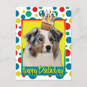 Birthday Cupcake - Australian Shepherd Briefkaart