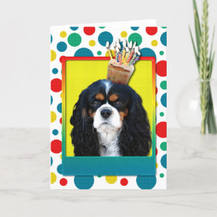 Birthday Cupcake - Cavalier - Tri-Color Kaart