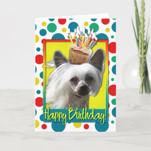 Birthday Cupcake - Chinese Crested - Kahlo Kaart