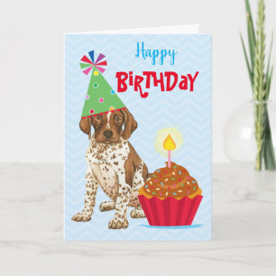 Birthday Cupcake German Shorthaired Pointer Kaart