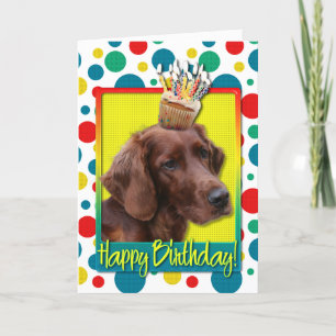 Birthday Cupcake - Irish Setter Kaart
