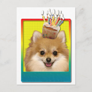 Birthday Cupcake - Pommeren Briefkaart